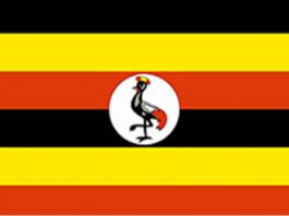 THE RISING OF THE SPIRIT OF DAVID: Understanding the 10th Seven Years of Uganda (9 October 2025 – 8 October 2032)